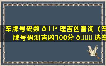 车牌号码数 🌺 理吉凶查询（车牌号码测吉凶100分 🍁 选车牌）